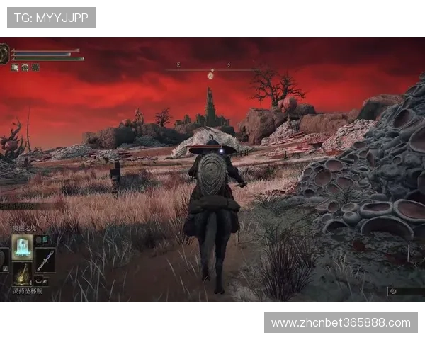 RAYBET官方版安全保障措施详解，确保每一位玩家的资金与信息安全