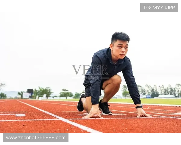 体育365：深度报道体育明星的成长故事与职业生涯